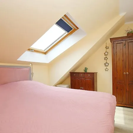 Papillon 08-7 * Boltenhagen (Ostseebad)