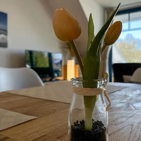 Appartement Papillon 08-7 Boltenhagen (Ostseebad)